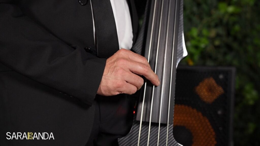 dettaglio delle mani del contrabbassista sulle corde, me so' 'mbriacato