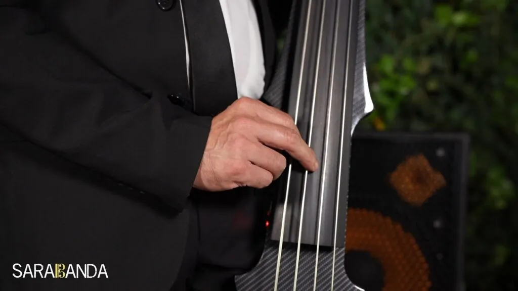 dettaglio delle mani del contrabbassista sulle corde, me so' 'mbriacato